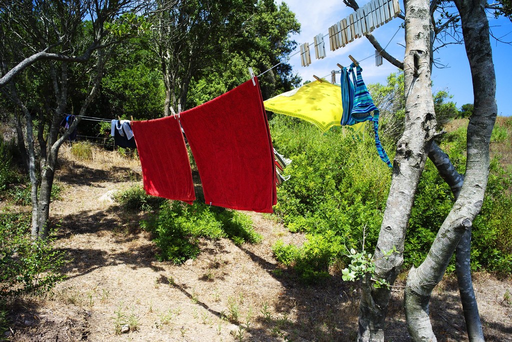 Summer laundry by domenicododaro