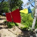 Summer laundry by domenicododaro