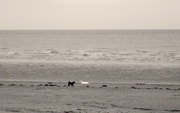 7th Aug 2018 - Black and white on beach