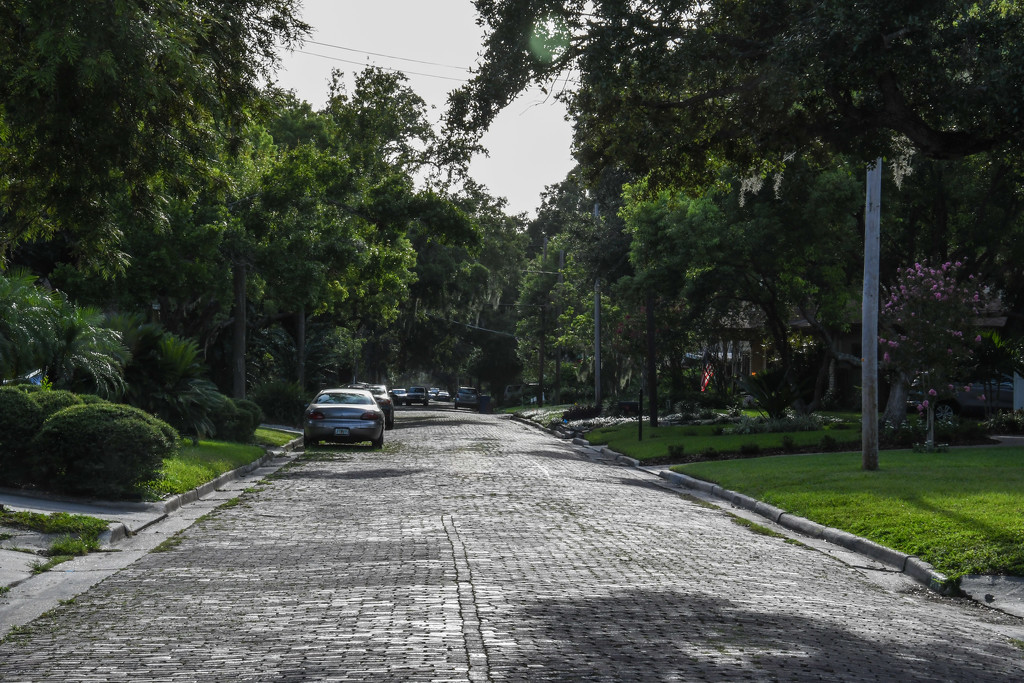 Brick-lined street by danette