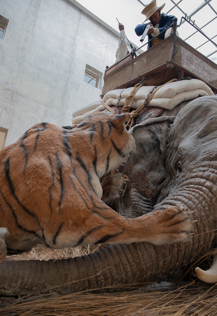 Tiger Hunt, Royal Armouries by lumpiniman