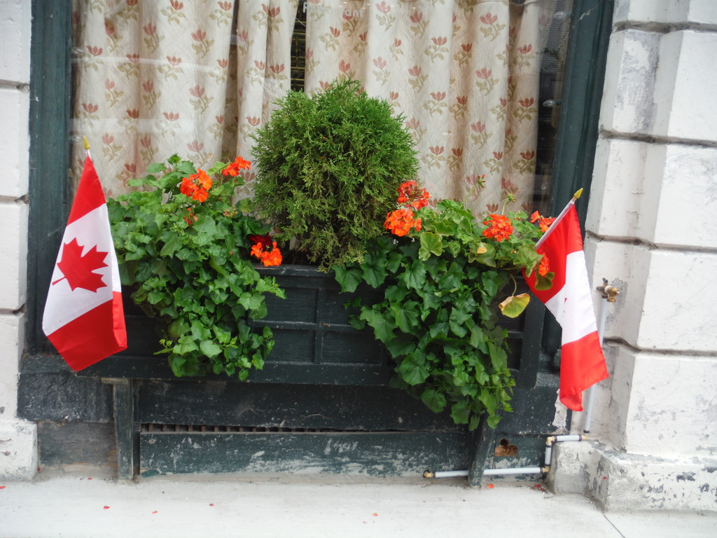 Flags in a Flower Box by spanishliz