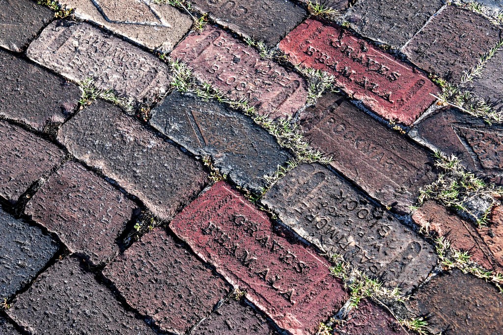 Bricks on the street by danette