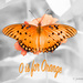 O is for Orange  by jnorthington