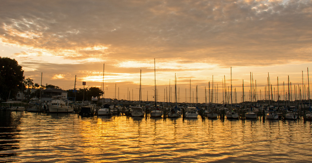 Sunrise at the Marina! by rickster549