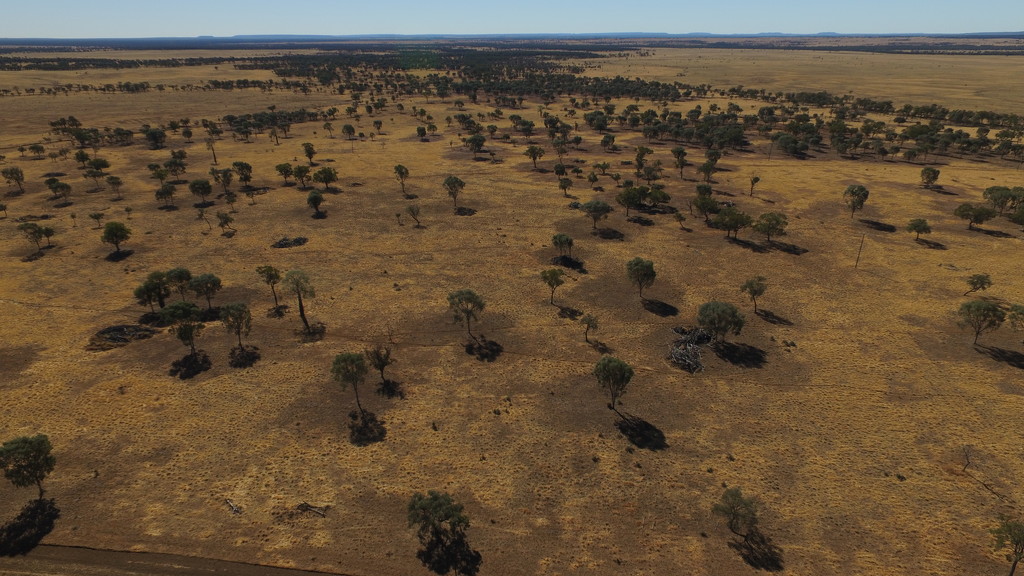 The wide brown land for me! by teodw