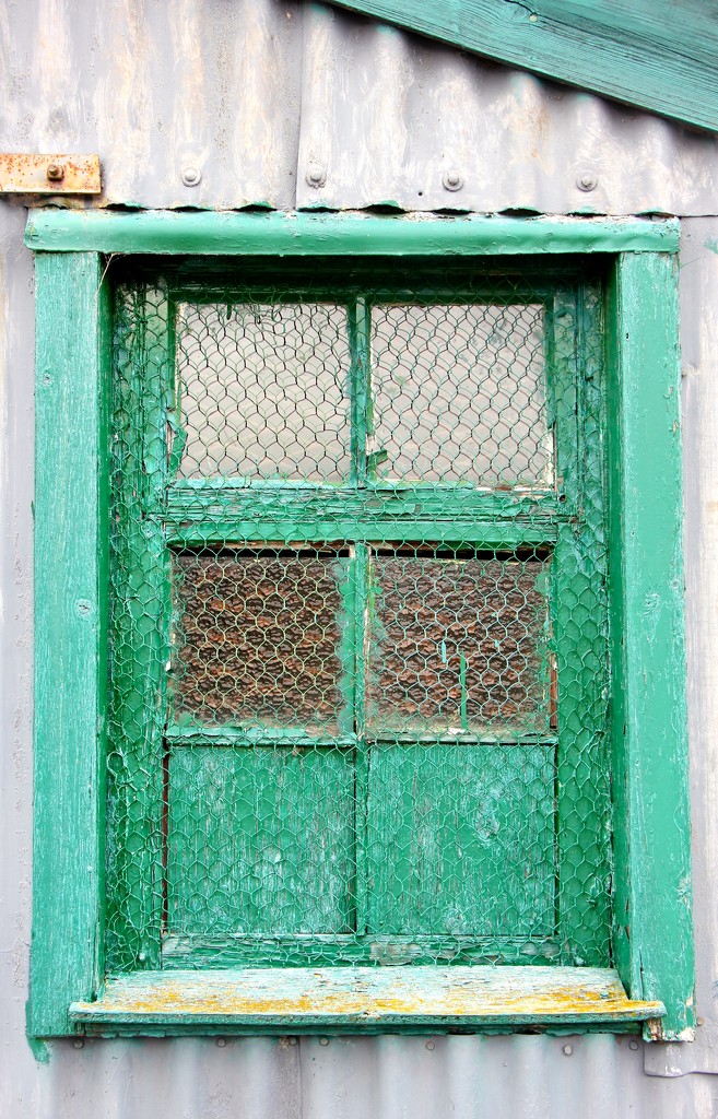 The Green Window by jamibann