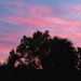 Pink Sunrise by salza