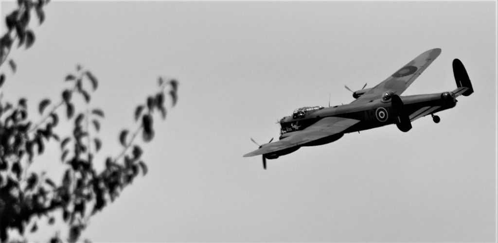 Lancaster Bomber by carole_sandford