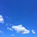 Blue sky, clouds and birds.  by cocobella