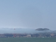 8th Aug 2018 - foggy Golden Gate Bridge