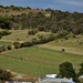 Pooley Wines Estate  by kgolab
