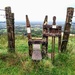 Stile and Dog Gate at Ditchling Beacon by 4rky