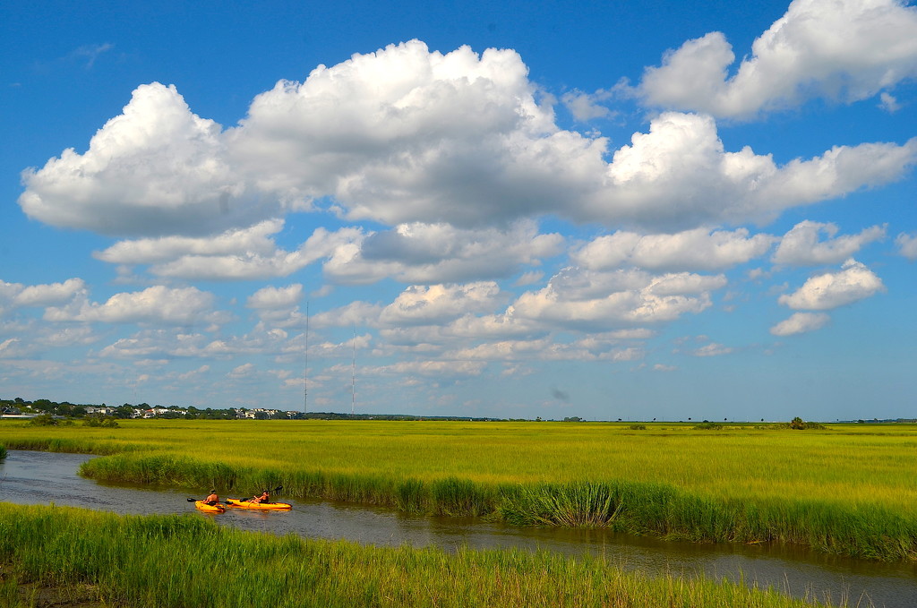 Kayaking in the marsh on a summer afternoon near Mount Pleasant, SC by congaree