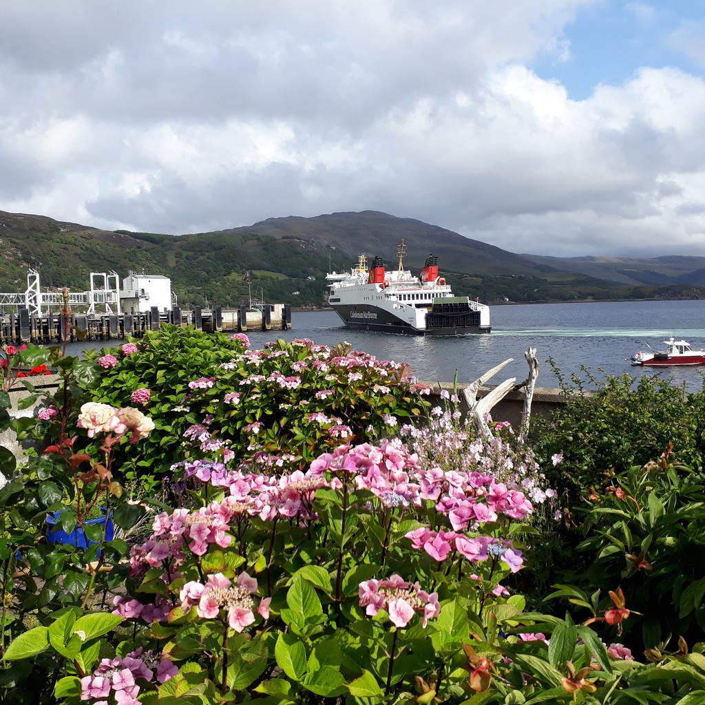 The ferry to the Western Isles  by sarah19