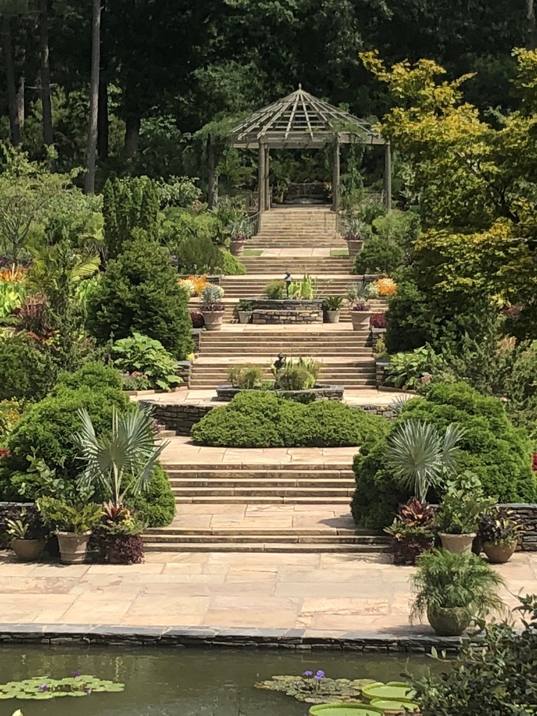 Duke Gardens by graceratliff