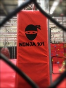 18th Aug 2018 - Ninja 101