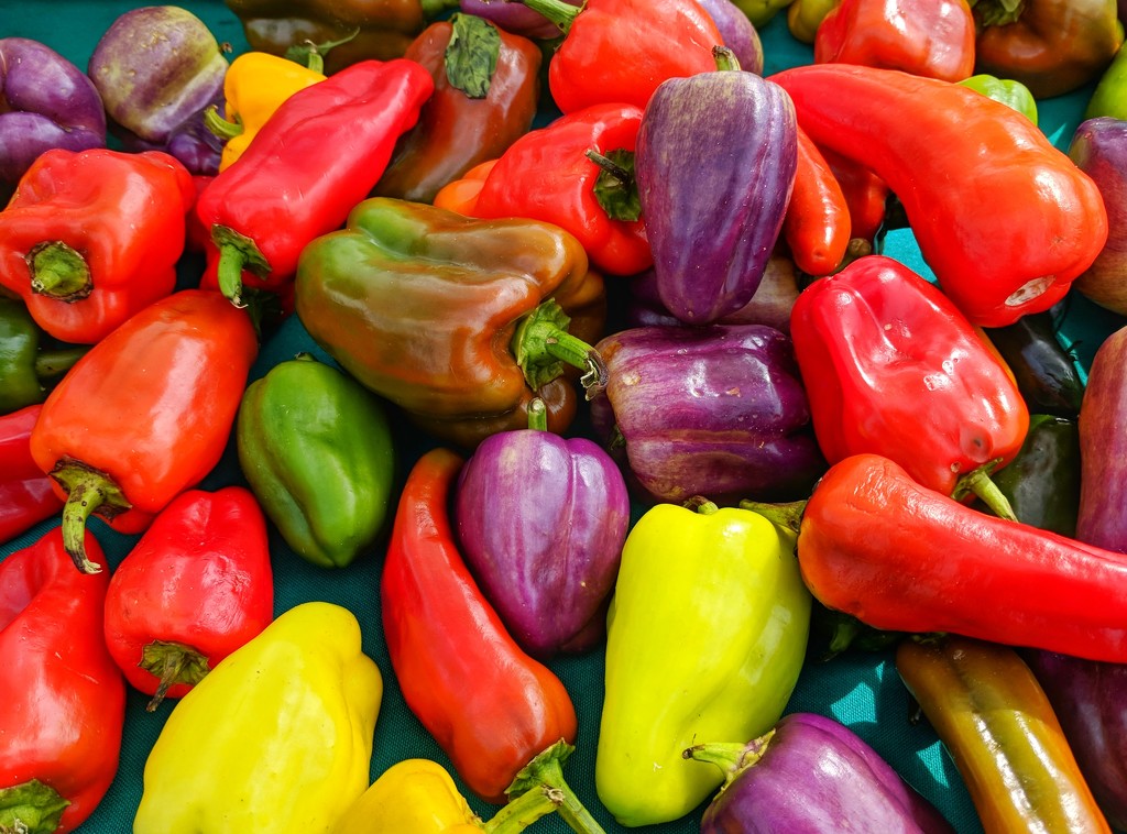 colorful booth at the local farmer's market by scottmurr