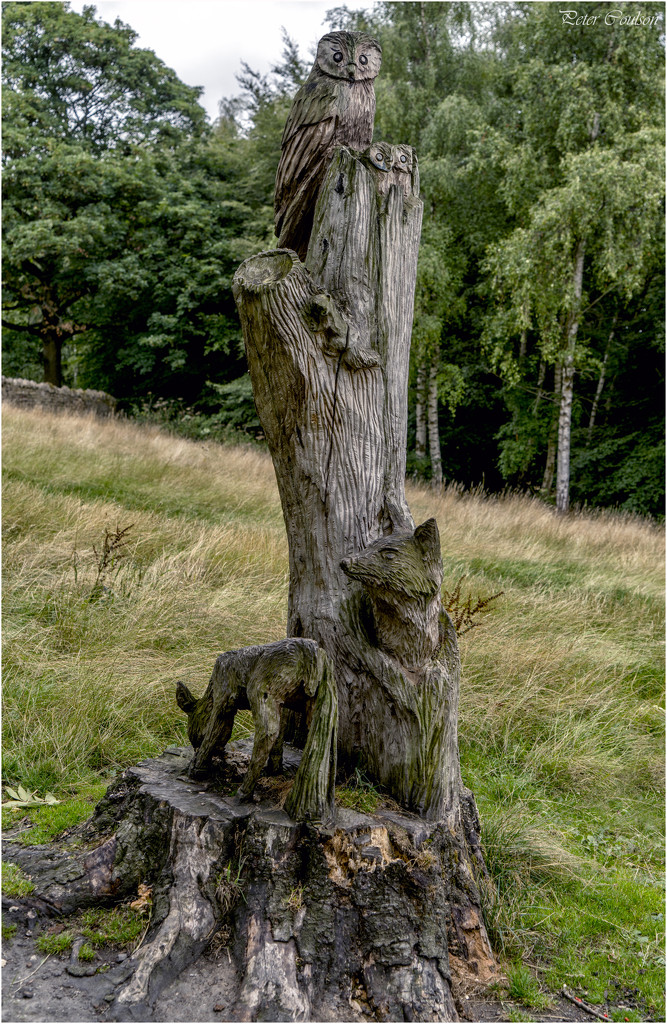 Tree Carving by pcoulson