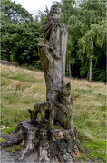 18th Aug 2018 - Tree Carving