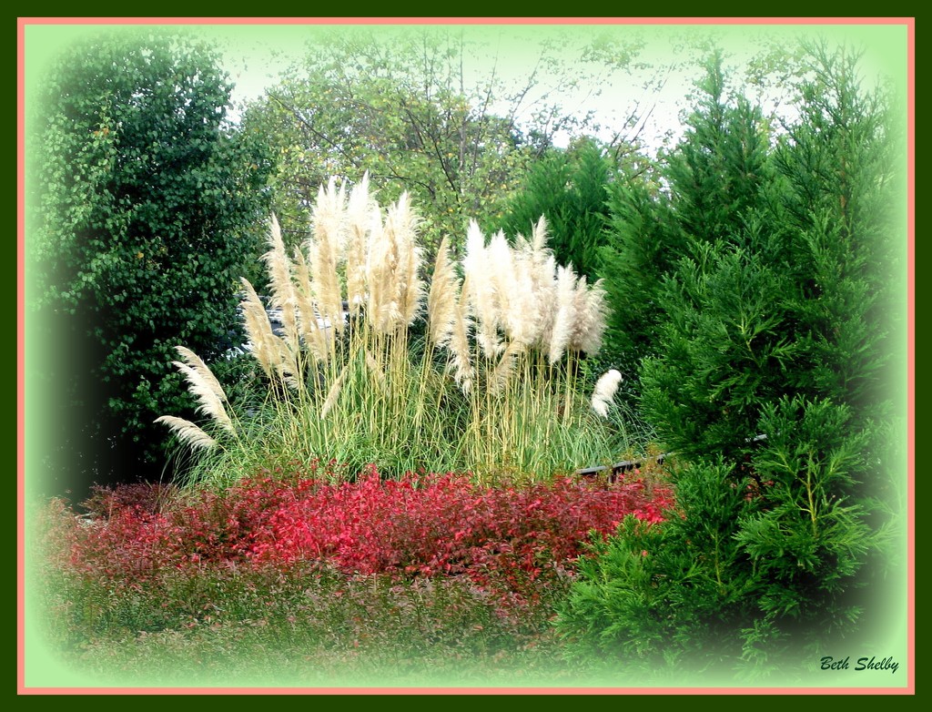 Trees, Flowers, and Grasses by vernabeth