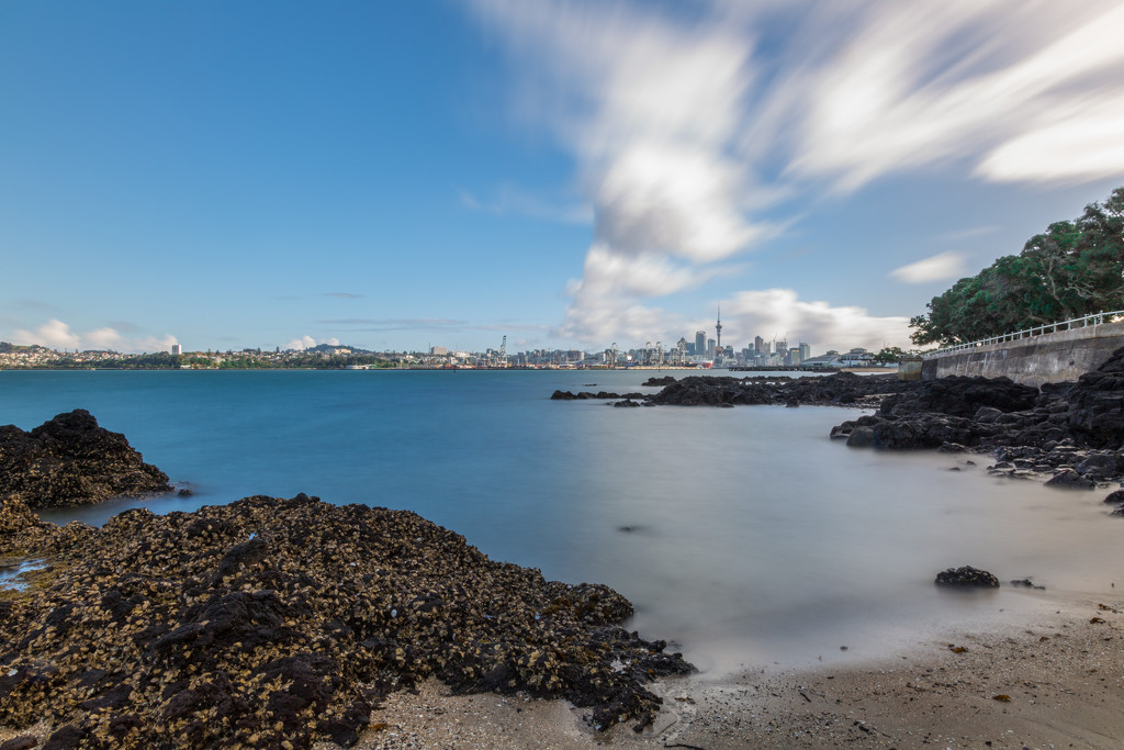 Auckland City by creative_shots