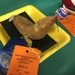 sweet potato art at the prince william county fair by wiesnerbeth