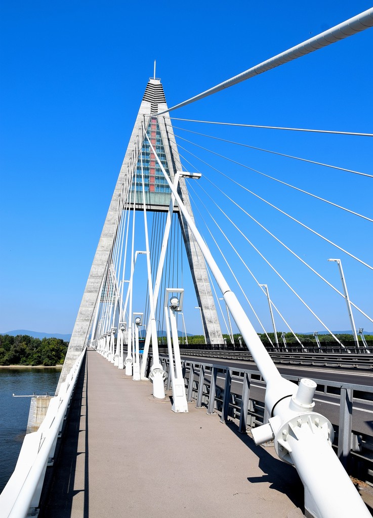 Bridge over the Danube by kork