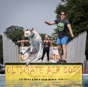 18th Aug 2018 - Ultimate Air Dog Competition