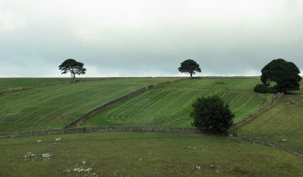 On the small roads to Edinburgh... by robz