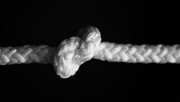 20th Aug 2018 - Knot (2)