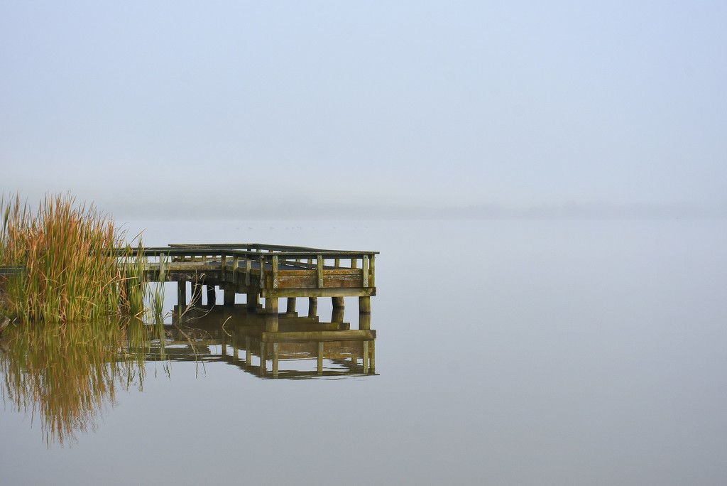 Fog on the Lake by nickspicsnz
