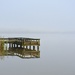 Fog on the Lake by nickspicsnz
