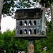 Bird Townhouse by harbie