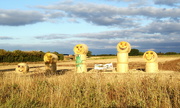 18th Aug 2018 - Smiley Bales