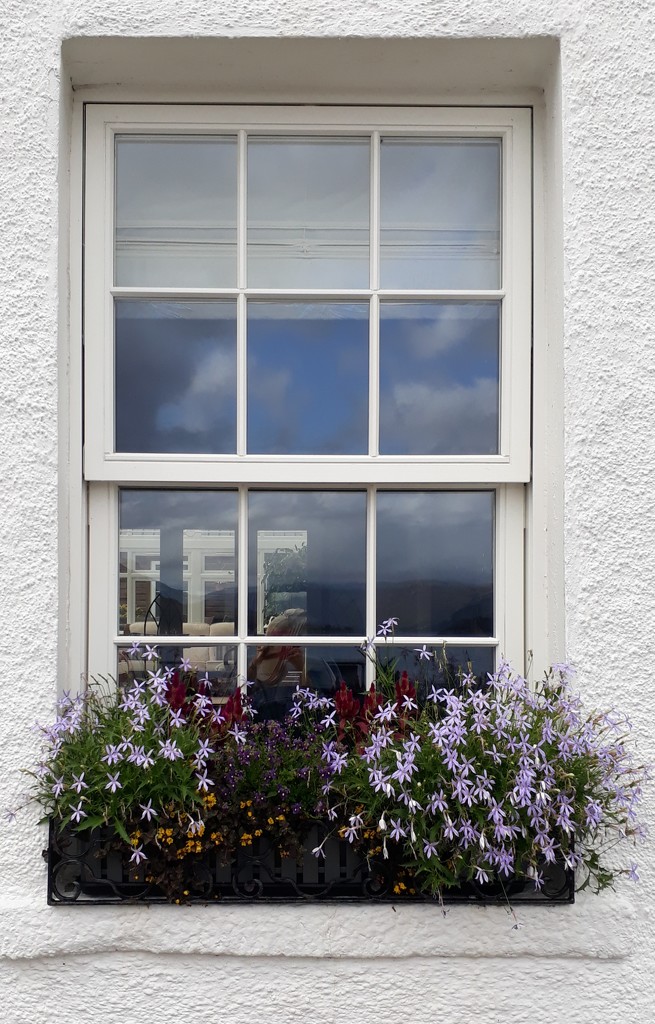 Ullapool windowsill  by sarah19