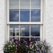 Ullapool windowsill  by sarah19
