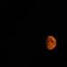 Fire Moon  by jgpittenger
