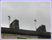 23rd Aug 2018 - Starlings singing on the chimney pots.