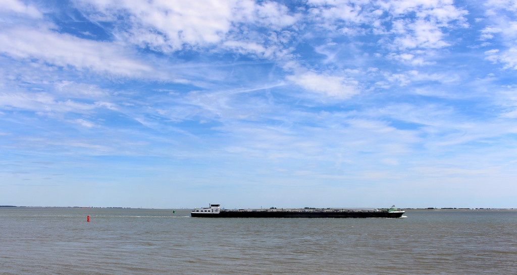 A barge on the river Scheldt . by pyrrhula