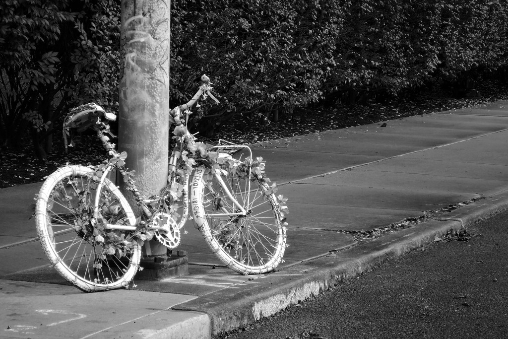 Ghost Bike by lsquared