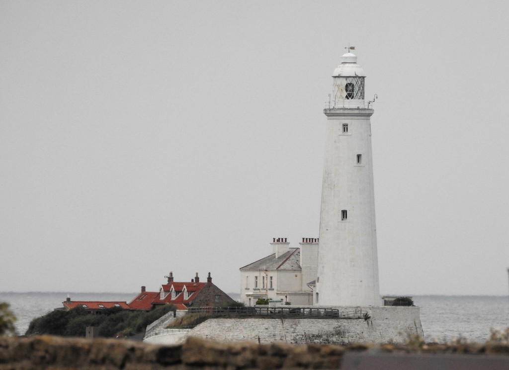 St Mary's Lighthouse Whitley Bay by oldjosh
