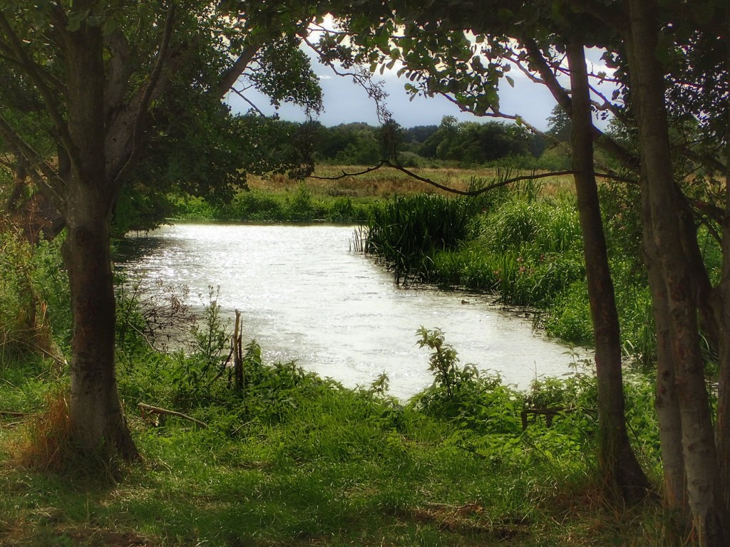 The River Wey by mattjcuk