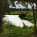 The River Wey by mattjcuk