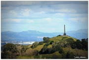 25th Aug 2018 - Auckland Volcanoes... One Tree Hill.. Maungakeikei..