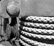 23rd Aug 2018 - Rope and pulley