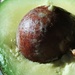 Day 343:  Avocado by sheilalorson