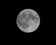 25th Aug 2018 - August Moon