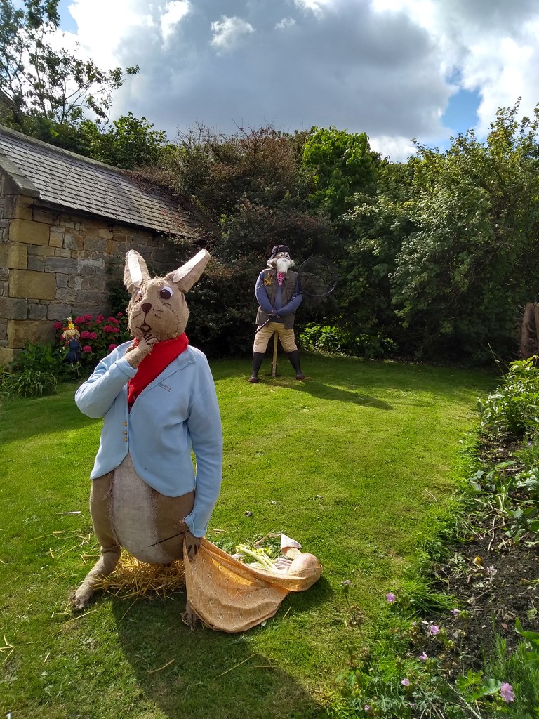 Peter Rabbit & Mr McGregor by clairemharvey