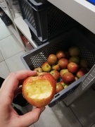 24th Aug 2018 - Mmm I would love to eat an apple now